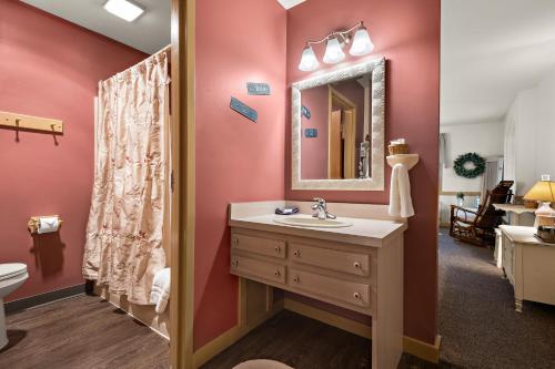 兰开斯特Country Living Inn的一间带水槽和镜子的浴室