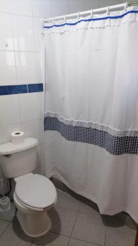 蓬塔阿雷纳斯Apartamento 410的一间带卫生间和淋浴帘的浴室