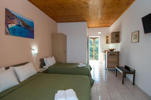 瓦西里科斯莱万特别墅酒店的酒店客房带两张床和厨房