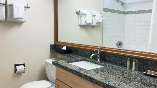 惠斯勒惠斯勒山边公寓式酒店的一间带水槽、卫生间和镜子的浴室