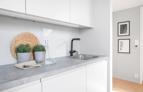 奥斯陆Apartment in Greenland, Oslo的厨房配有水槽和两株盆栽植物