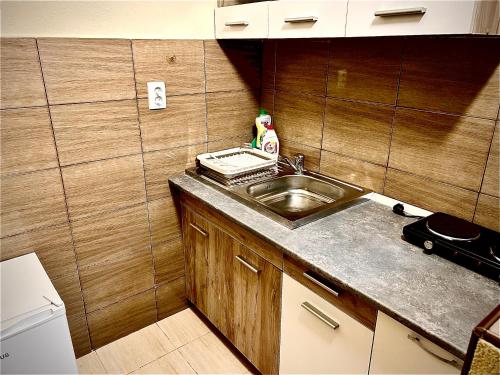 格奥尔盖尼ROOR Top Nest 3的一个带水槽和柜台的小厨房