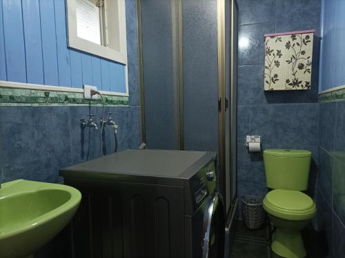 安库德EL URCO CHILOE HOSTEL的浴室配有绿色卫生间和水槽。