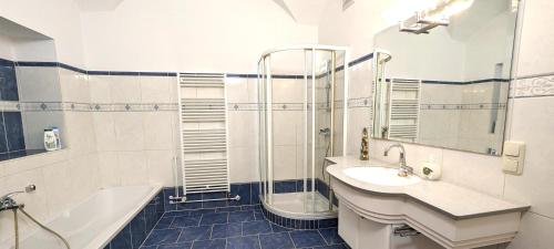 GamingFerienwohnung Elsasser的浴室配有水槽、淋浴和浴缸。