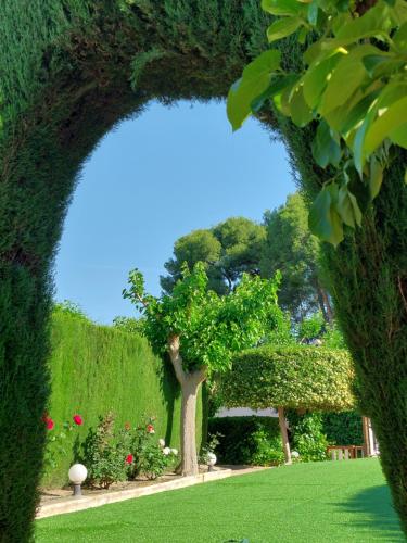希耶萨Casa de La Campana的花园中树拱门