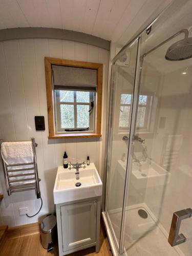 特鲁罗Private and peaceful stay in a Luxury Shepherds Hut near Truro的一间带水槽和淋浴的浴室