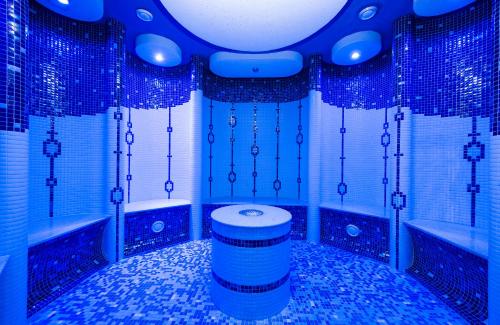 迪马诺卡多林纳拜斯特丽纳酒店的浴室设有蓝色瓷砖墙壁和卫生间。