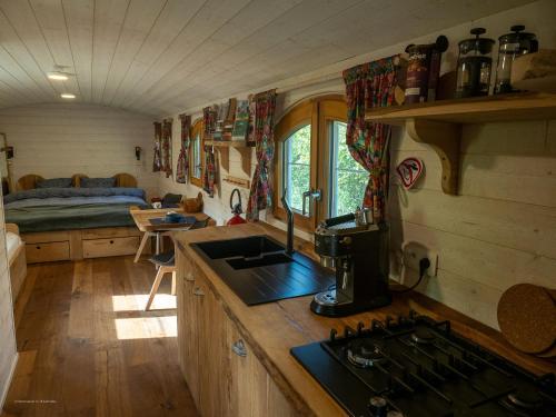 LierneuxLa Tiny House de la Bergerie的客房内设有带水槽和炉灶的厨房