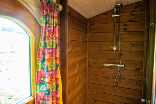 LierneuxLa Tiny House de la Bergerie的配有木墙的客房内的淋浴