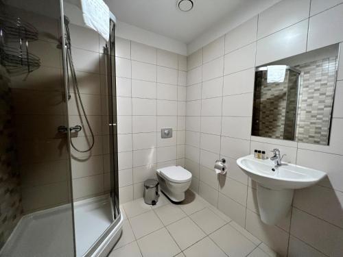 普列奈Harmony Park Countryside Villas & SPA的浴室配有卫生间、盥洗盆和淋浴。