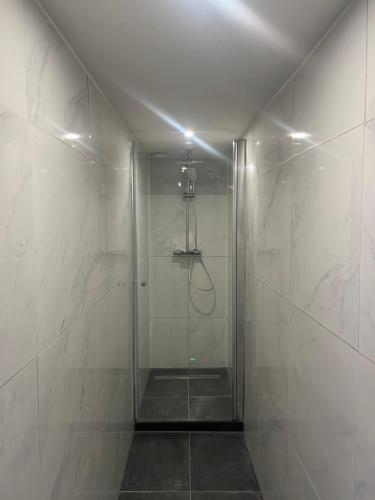 多德雷赫特Artistic apartment, City Centre Dordrecht的浴室里设有玻璃门淋浴