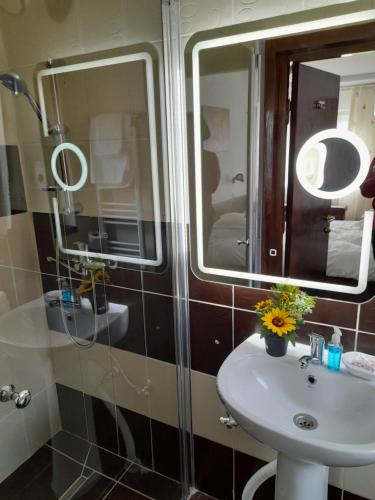 VaideeniMoara Viselor的一间带水槽和镜子的浴室