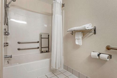 ObetzQuality Inn & Suites South的浴室配有浴缸、淋浴和毛巾。