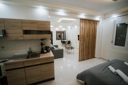 科扎尼Panorama Apartment的一间卧室设有厨房和客厅。
