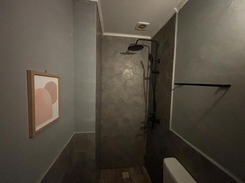 蒙得维的亚Expreso terminal的带淋浴和卫生间的浴室