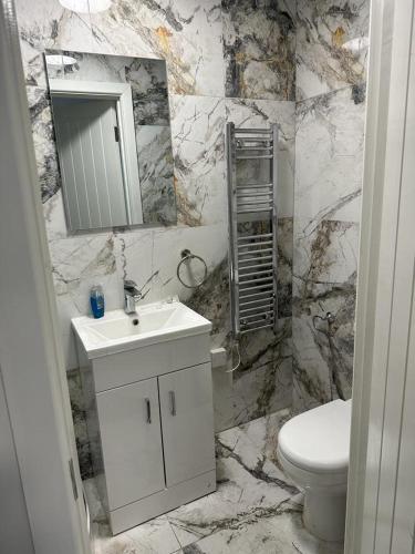 莱斯特London Rd Apartment's的一间带水槽、卫生间和镜子的浴室