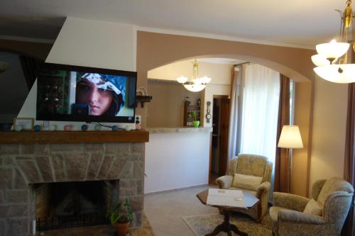 伯伊莱图什纳德Villa Atriolum的客厅设有壁炉和平面电视