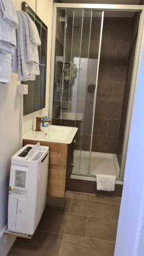施皮茨Swiss Holiday Apartments的带淋浴、盥洗盆和卫生间的浴室