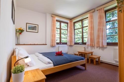 乌帕河畔斯沃博达鲁多尔夫杜尔酒店的一间设有床铺的卧室,位于带窗户的房间内
