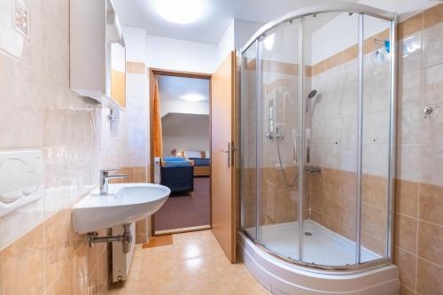 乌帕河畔斯沃博达鲁多尔夫杜尔酒店的带淋浴和盥洗盆的浴室
