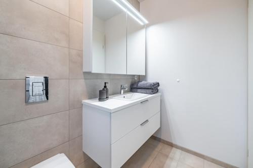雷克雅未克Glacial Properties, Cozy apartment in Kópavogur的浴室设有白色水槽和镜子