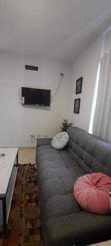 里奥夸尔托Rio Apart Imperio的客厅配有带枕头的灰色沙发