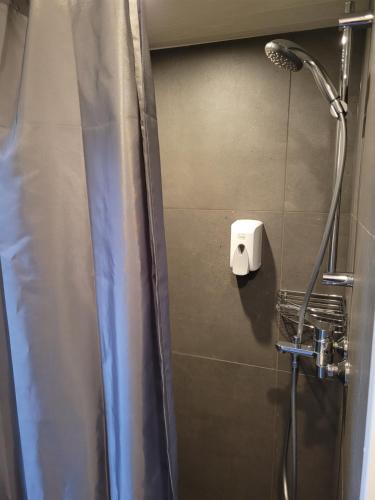 Ozola stāsts atpūtas namiņš的带淋浴和肥皂机的浴室