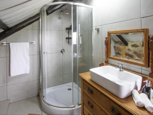 SwartbergFlitwick Ranch的一间带水槽和淋浴的浴室