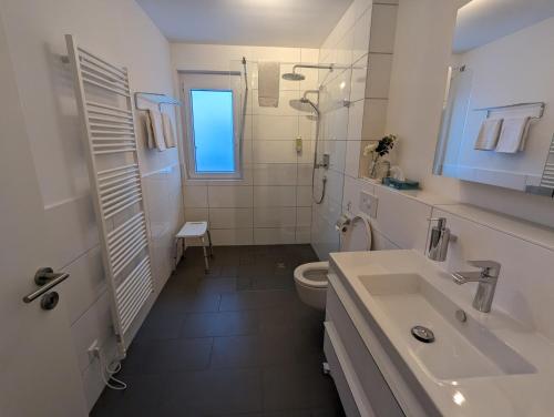 巴特贝林根Golf & Wellness Suite Bad Bellingen Apartment 5-9的白色的浴室设有水槽和卫生间。