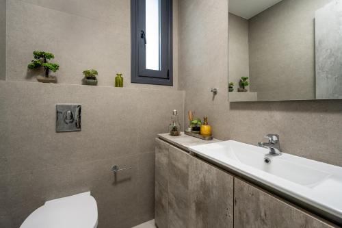 克雷马斯蒂Penélope Beachfront Villa的一间带水槽、卫生间和镜子的浴室