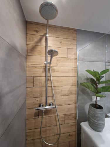 萨诺克Apartament w Śródmieściu的带淋浴的浴室(带木墙)