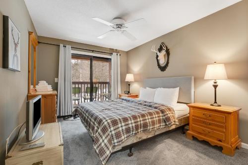 DoverSkiing Haven的一间卧室设有一张床、一台电视和一个窗口。