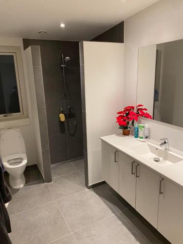 措斯楚斯Musholmvej的浴室配有卫生间、盥洗盆和淋浴。