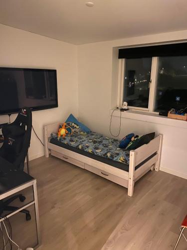 措斯楚斯Musholmvej的一间小卧室,配有床和大窗户