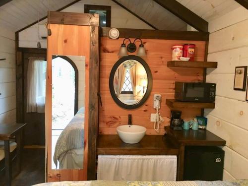 赛维尔维尔Tiny Home Cottage Near the Smokies #5 Fleur的客房内的浴室设有水槽和镜子