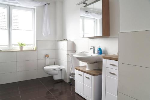 VettweißFerienwohnung am Feld的白色的浴室设有卫生间和水槽。