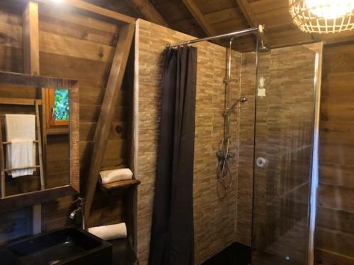黑角west indies cottage的带淋浴和盥洗盆的浴室