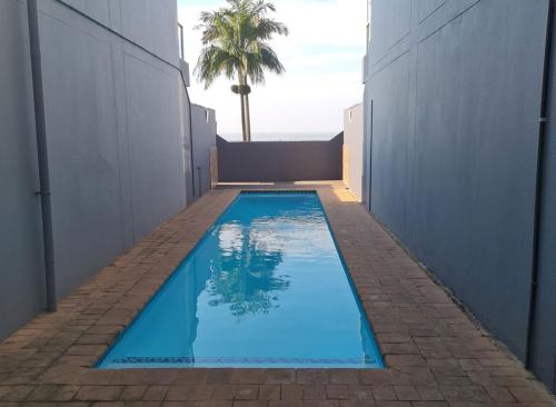 马盖特Oceanic Breeze的棕榈树庭院中的游泳池