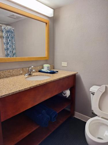 麦迪逊Madison Inn & Suites的一间带水槽、镜子和卫生间的浴室