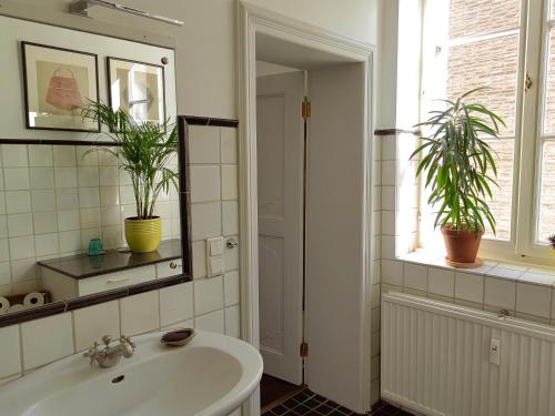 杜塞尔多夫Epic Location的浴室设有水槽和两盆植物
