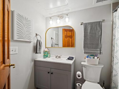 克利夫兰Downtown Condo的一间带水槽、卫生间和镜子的浴室