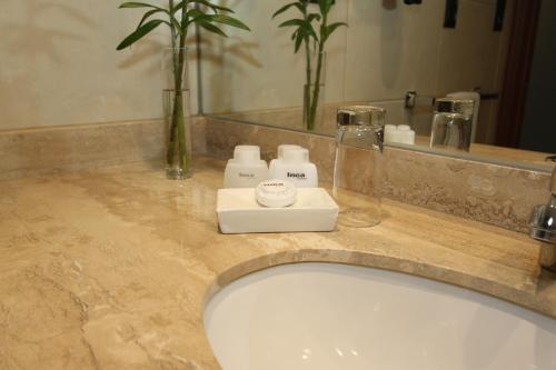 洛斯安第斯茵佳酒店的浴室的柜台设有水槽和镜子