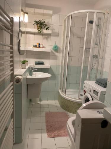皮耶什佳尼City Apartment的带淋浴、盥洗盆和卫生间的浴室