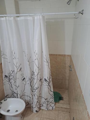 圣罗莎Complejo Lucero的浴室设有淋浴帘、卫生间和水槽
