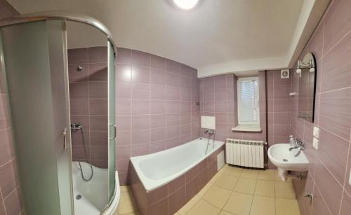 SzczebrzeszynSen na Roztoczu的带淋浴、浴缸和盥洗盆的浴室