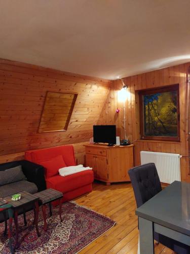 亚霍里纳Kuća Milica的客厅配有红色沙发和电视