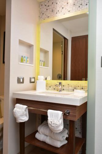 埃莫西约希尔顿埃莫西约汉普顿酒店的一间带水槽和镜子的浴室
