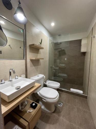 门多萨Ayres home的浴室配有卫生间、盥洗盆和淋浴。