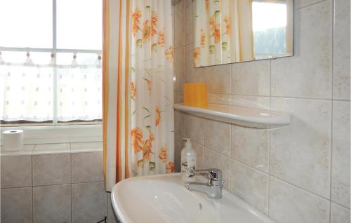 弗拉绍Cozy Apartment In Flachau With Wifi的一间带水槽和淋浴帘的浴室