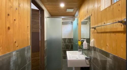 西归浦市背包客之家旅馆的一间带水槽和镜子的浴室
